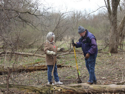 Arbor Day Tree Planting