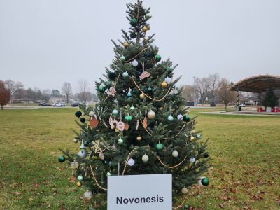 7. Novonesis