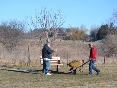 Dog Park Cleanup